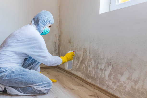 Mold Remediation specialist working in Rebuck