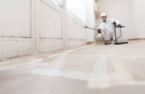 Post-remediation clearance in Rebuck